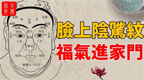 陰騭紋|面相中最重要的陰騭紋到底是什麼？你的善惡早已被記。